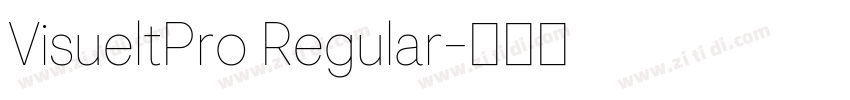 VisueltPro Regular字体转换
